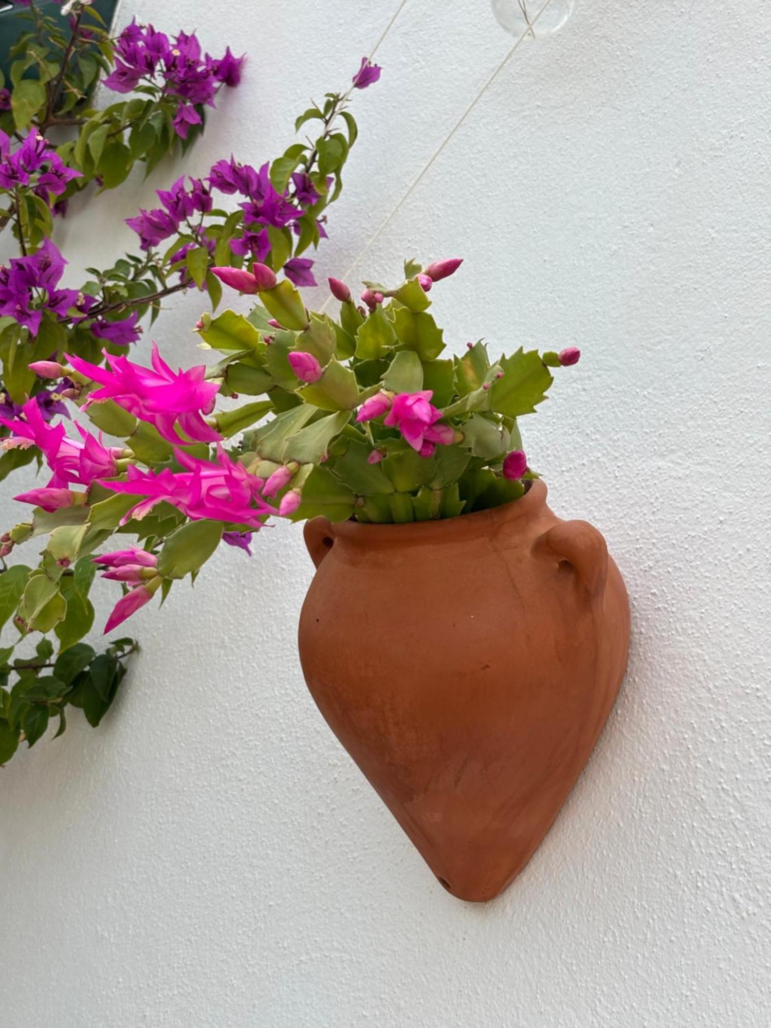 Casa Alta B&B Torrox Exterior foto