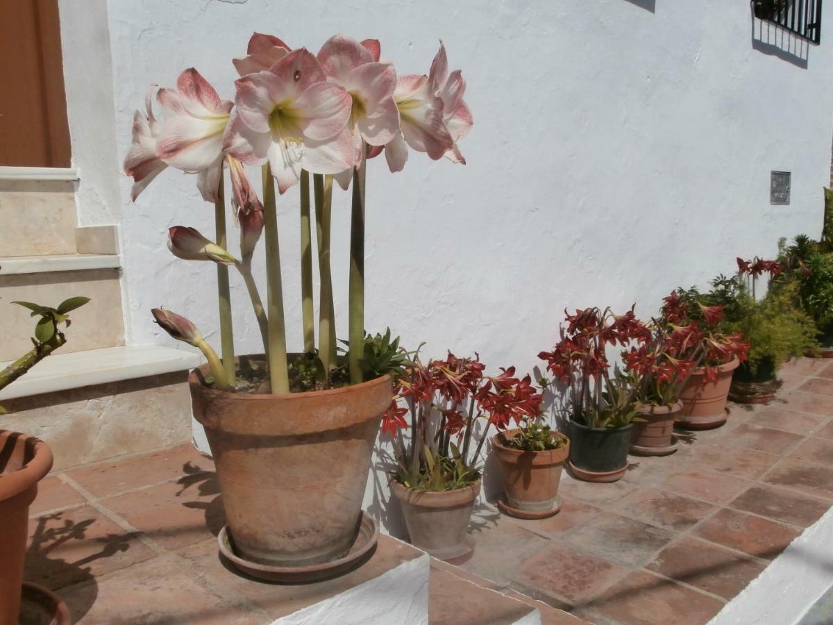 Casa Alta B&B Torrox Exterior foto